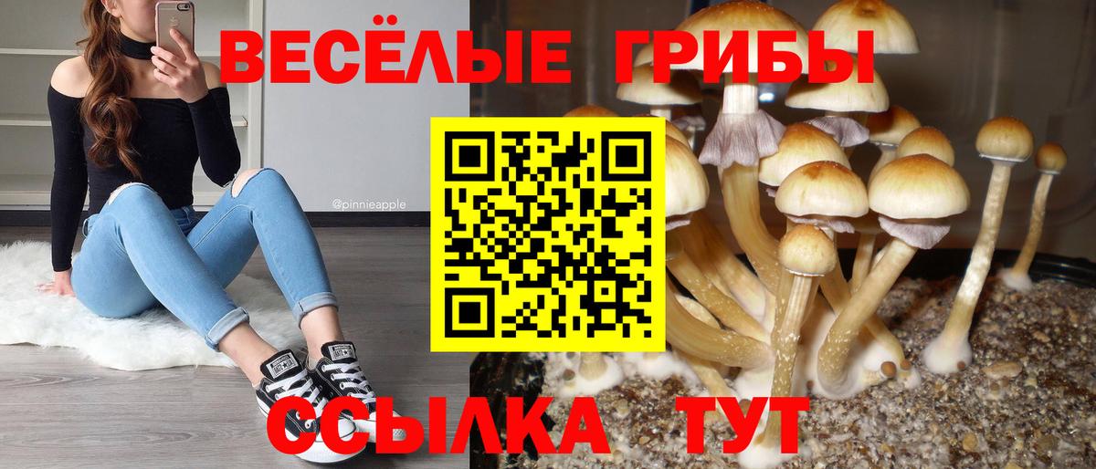 Галлюциногенные грибы прущие грибы Артёмовский