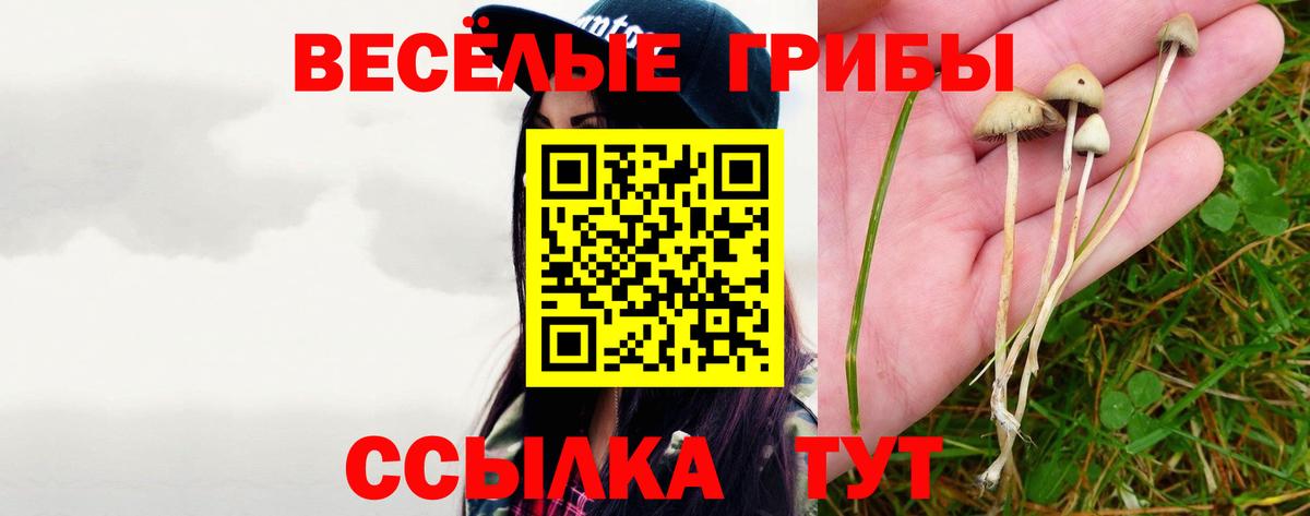 Артёмовский  Псилоцибиновые грибы Psilocybine cubensis  Галлюциногенные грибы мицелий  Вход с VPN 